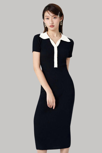 Modern Contrast Collar Dress